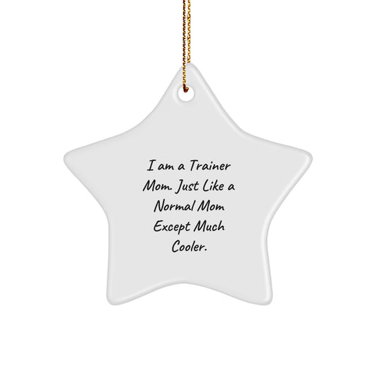 Funny Trainer Mom Gifts from Friends - Star Ornament for Trainers, Christmas Unique Star-Shaped Decorations - Image 1