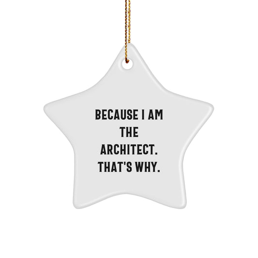 Funny Architect Star Ornament, Gifts from Men to Women, Christmas Unique Gifts for Architects - Image 1
