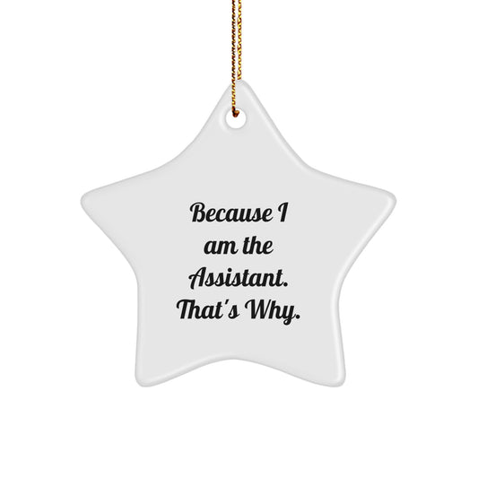 Funny Assistant Star Ornament Gifts from Men to Women for Christmas Unique Decorations Because I Am The Assistant That's Why - Image 1