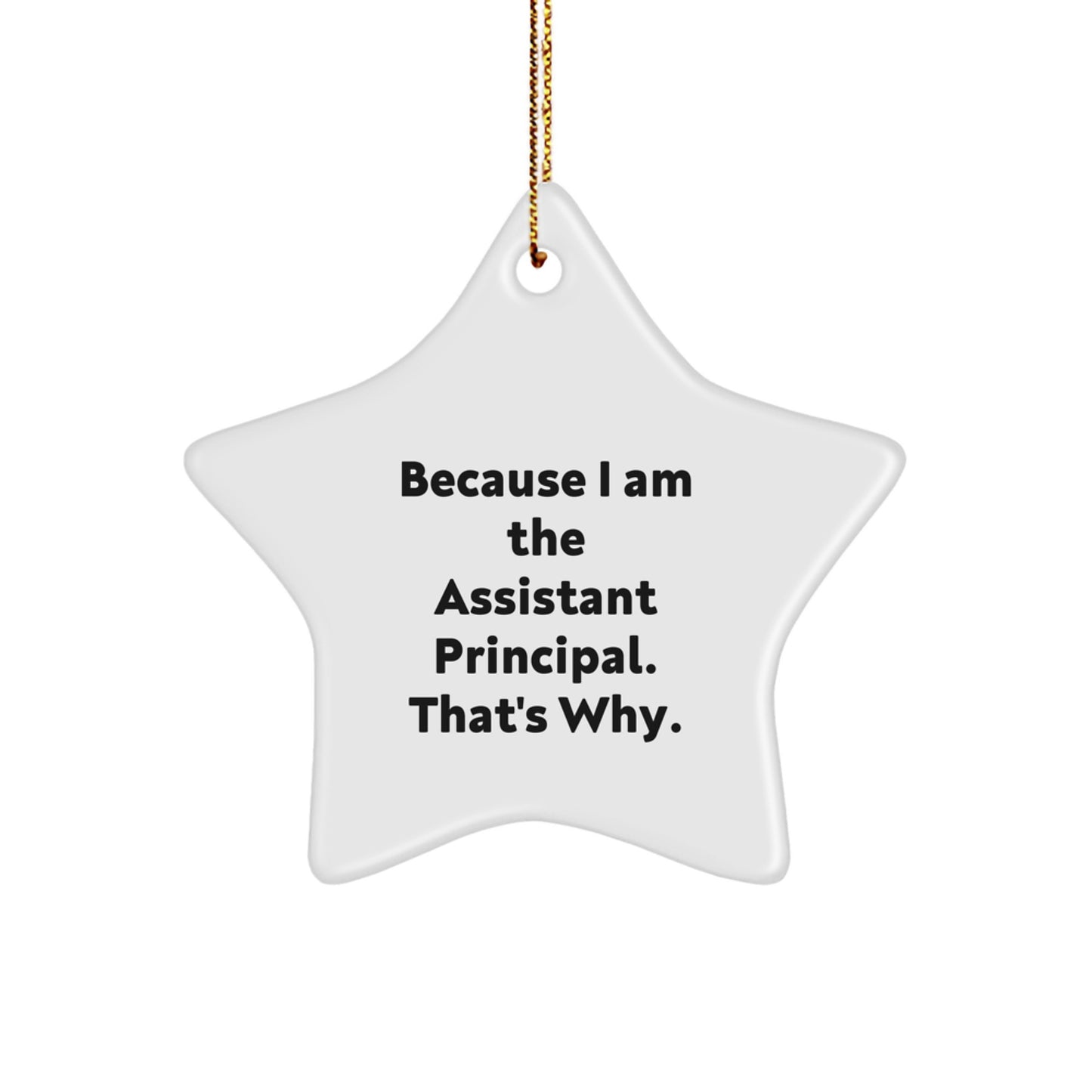 Funny Assistant Principal Star Ornament Gifts from Friends, Family for Christmas Unique Gifts, Star Shaped White Decorations - Image 1