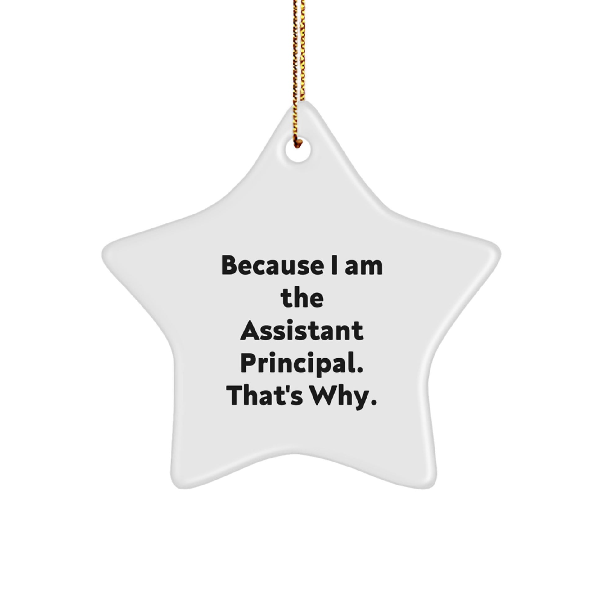 Funny Assistant Principal Star Ornament Gifts from Friends, Family for Christmas Unique Gifts, Star Shaped White Decorations - Image 1