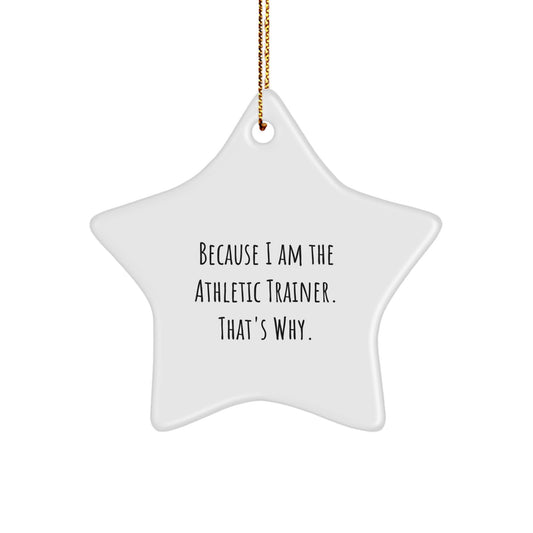 Funny Athletic Trainer Star Ornament Gifts from Family, Because 'I Am The Athletic Trainer. That's Why.' Christmas Unique Gifts for Men - Image 1