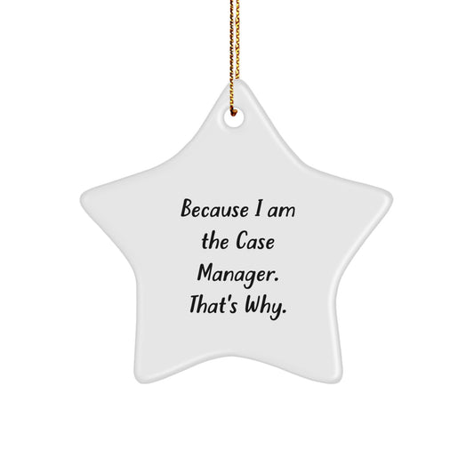 Funny Case Manager Star Ornament Gifts from Friends and Family for Christmas Unique Ornaments Because 'I Am The Case Manager. That's Why.' - Image 1