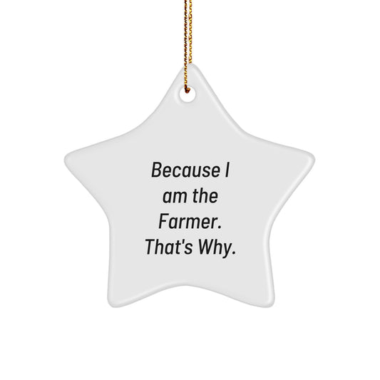 Gifts from Farmer Friends for Men - Because I Am The Farmer, That's Why Christmas Star Ornament - Image 1