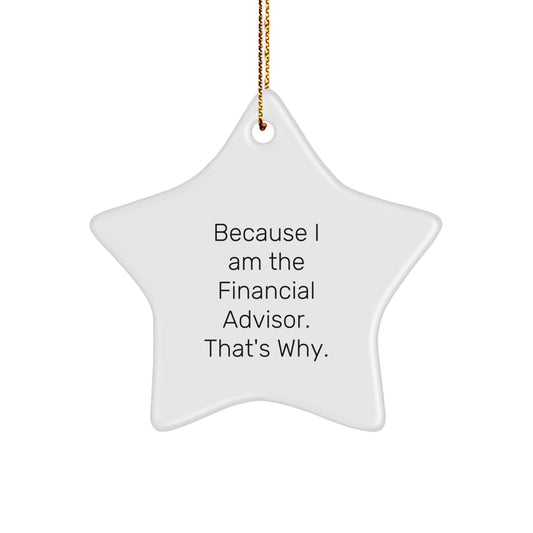 Funny Financial Advisor Christmas Unique Gifts from Men for Women Star Ornament Because 'I Am The Financial Advisor. That's Why.' - Image 1