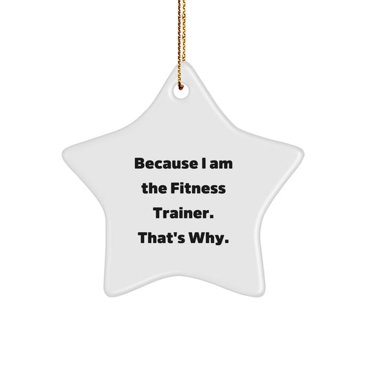 Fitness Trainer Star Ornament Gifts from Friends for Men, Women, Coworkers, Family - Funny Quote 'Because I Am The Fitness Trainer. That's Why.' - Image 1