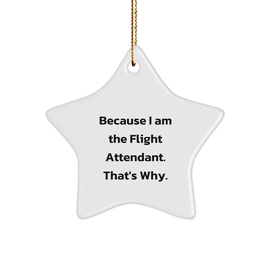 Funny Flight Attendant Gifts from Friends for Men, Women, Coworkers, Christmas Unique Star Ornaments with 'Because I Am The Flight Attendant. That's Why.' Quote - Image 1