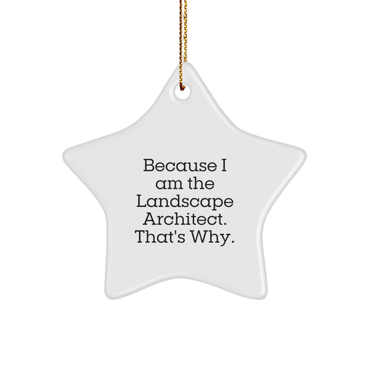 Funny Quote Gifts from Friends to Family Landscape Architect Star Ornament, Christmas Unique Ornaments for Landscape Architect Men, Women, Coworkers, Office Decorations - Image 1