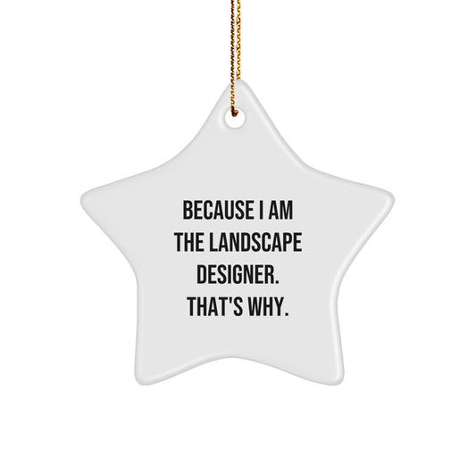 Landscape Designer Star Ornament Funny Quote Christmas Unique Gift for Men from Friends - Image 1
