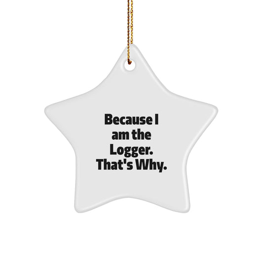Funny Logger Star Ornament Gifts from Men for Logger Friends Christmas Unique Decorations - Image 1