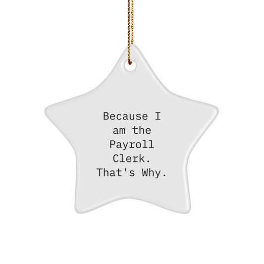Funny Payroll Clerk Gifts from Men to Coworkers, Because I Am The Payroll Clerk That's Why, Star Ornament for Christmas - Image 1