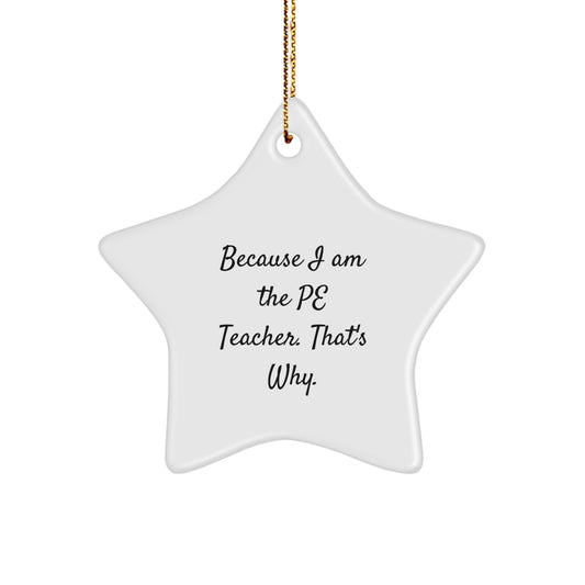 Funny PE Teacher Gifts from Friends, Cute Star Ornament for PE Teacher, Because I Am The PE Teacher. That's Why. Christmas Unique Gifts - Image 1