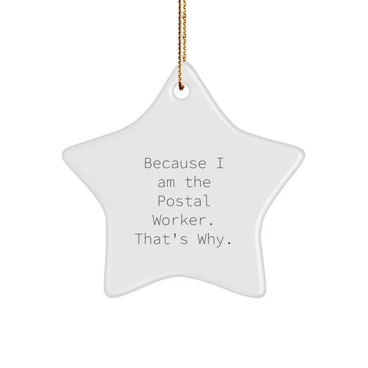 Funny Postal Worker Christmas Star Ornament Gifts from Friends and Family for Men and Women Because I Am The Postal Worker That's Why - Image 1