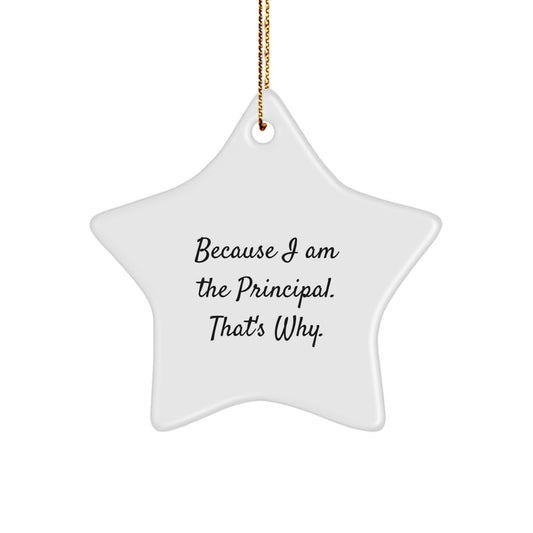 Funny Principal Gifts from Men to Principal, Star Ornament Christmas Unique Gifts, Inspirational Quote 'Because I Am The Principal. That's Why.' - Image 1