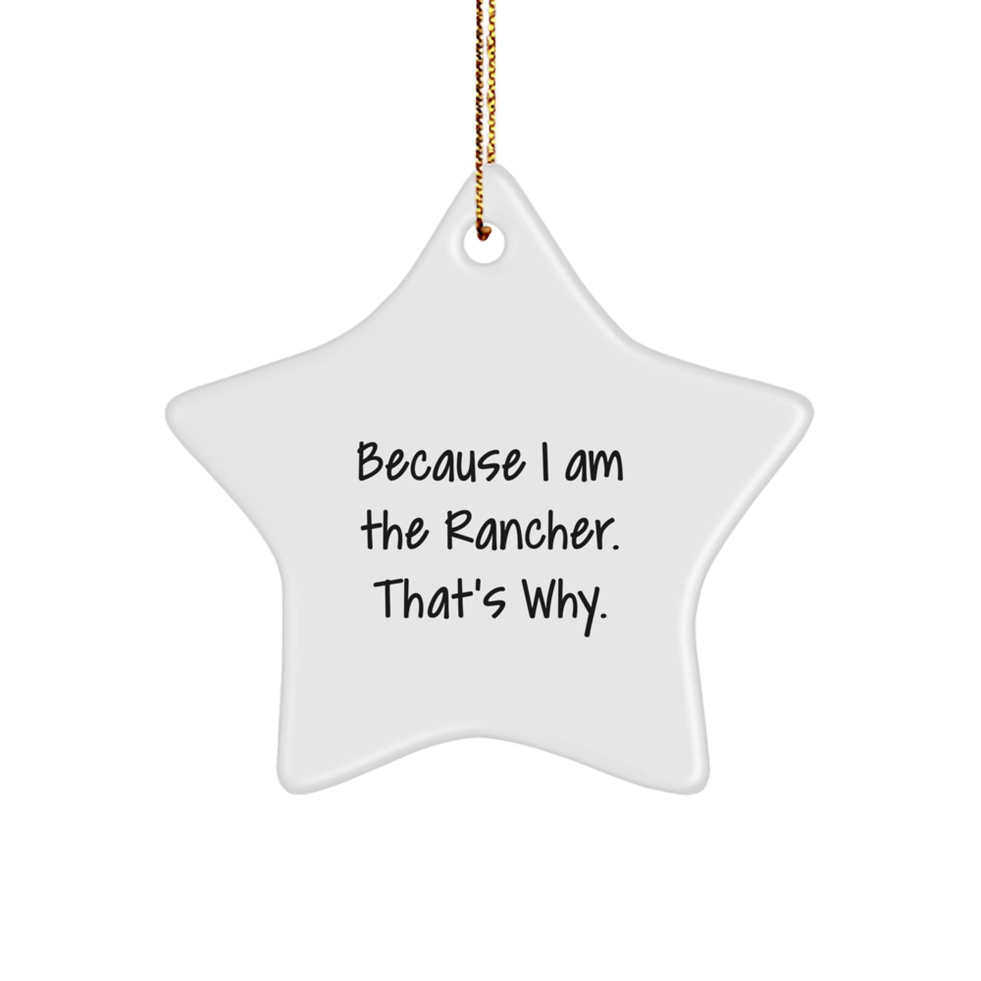 Funny Rancher Star Ornament Gifts from Friends to Men on Christmas Unique - Image 1