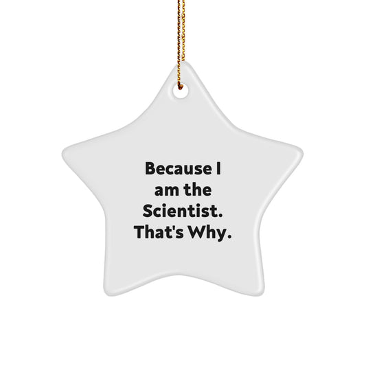 Funny Scientist Gifts for Men from Family, Scientist Star Ornament Because 'I Am The Scientist That's Why' Christmas Unique Gifts - Image 1