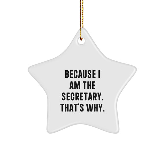 Funny Secretary Star Ornament Gifts from Friends for Secretary Coworkers - Christmas Unique Secretary Presents - Image 1