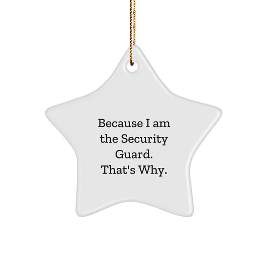 Funny Security Guard Star Ornament Gifts from Men for Christmas Unique Inspirational - Image 1
