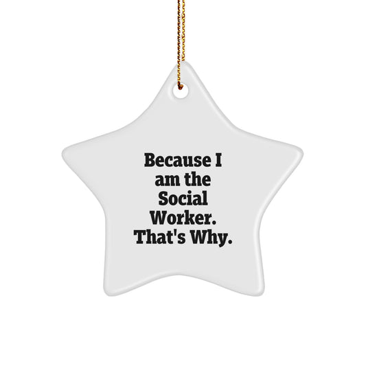 Gifts from Family Members to Social Workers - Funny Star Ornament Because I Am The Social Worker. That's Why. Christmas Unique Gifts - Image 1