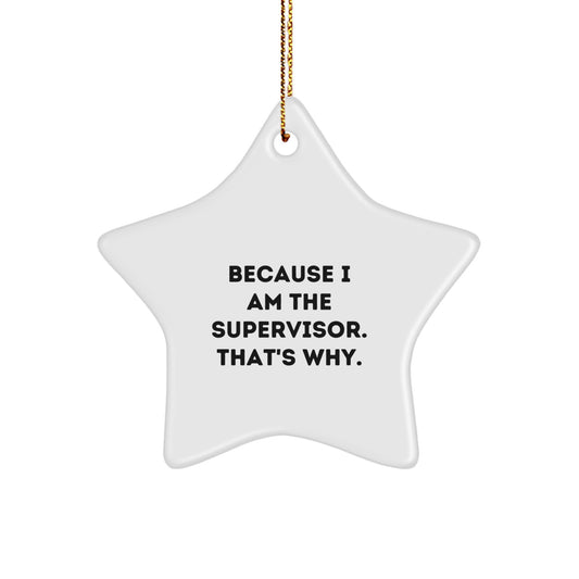 Funny Supervisor Star Ornament Gifts from Friends Family Christmas Unique Presents for Supervisor - Image 1
