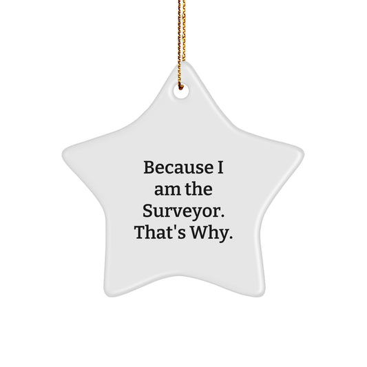 Funny Surveyor Star Ornament Gifts from Family to Surveyor Friends during Christmas Unique - Image 1
