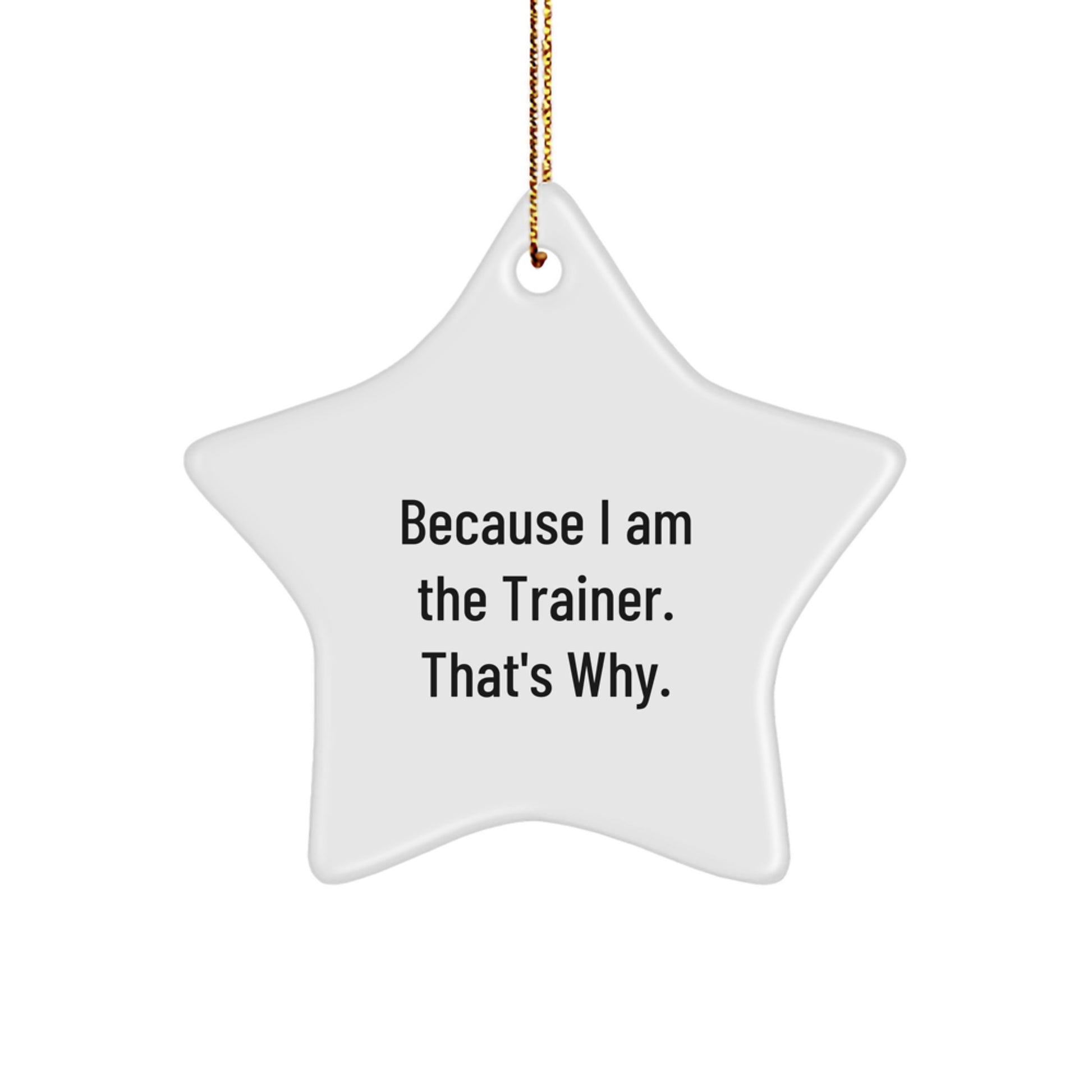 Funny Trainer Star Ornament Gifts from Family, Friends for Christmas Unique Trainer Decorations Because I Am The Trainer. That's Why. - Image 1