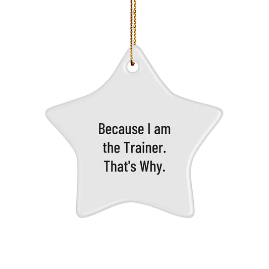 Funny Trainer Star Ornament Gifts from Family, Friends for Christmas Unique Trainer Decorations Because I Am The Trainer. That's Why. - Image 1