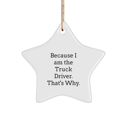 Funny Truck Driver Star Ornament Gifts from Family, Friends, and Coworkers for Christmas - Image 1