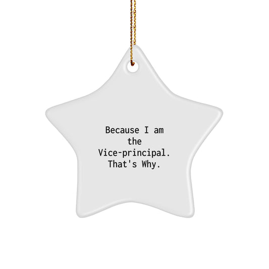 Funny Vice-principal Gifts from Friends, Because I Am The Vice-principal. That's Why., Christmas Unique Gifts for Vice-principal Men - Image 1