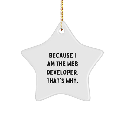 Funny Web Developer Gifts from Men to Web Developers - Star Ornament for Christmas Unique Gifts - Because I Am The Web Developer, That's Why! - Image 1
