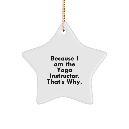 Funny Yoga Instructor Gifts from Men - Star Ornament Because I Am The Yoga Instructor. That's Why. - Christmas Unique Ornament for Yoga Instructor Home Decor - Image 1