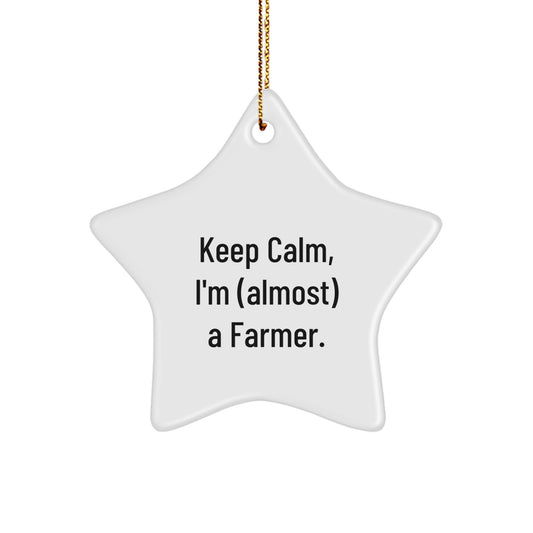 Funny Farmer Star Ornament Gifts for Men, Women, Friends, Family - Keep Calm, I'm (almost) A Farmer - Christmas Unique Gifts from Friends, Coworkers, Family - Image 1