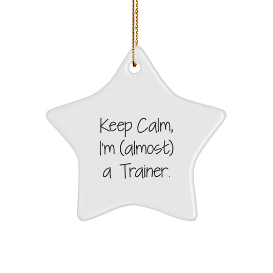 Funny Trainer Gifts from Men, Inspirational Star Ornament for Keep Calm Trainer Friends, Christmas Unique Gifts for Women, Funny Star Shaped - Image 1