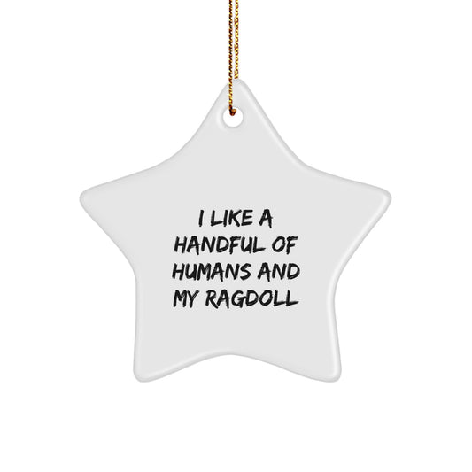 Gifts for Ragdoll Cat Lovers, Funny Star Ornament, White Star Shaped Decorations for Christmas Unique Gifts from Men, Women, Friends, or Family - Image 1