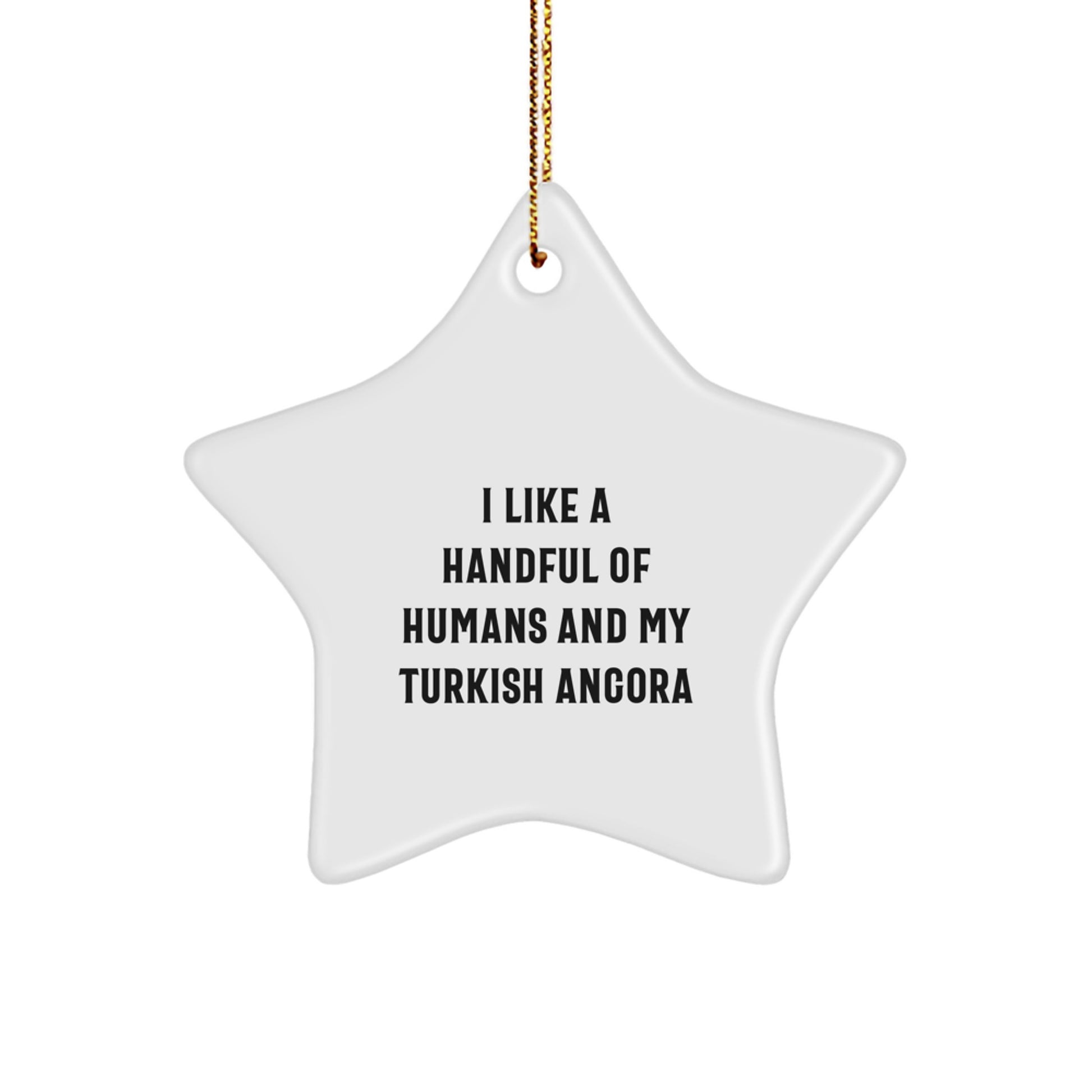Funny Turkish Angora Cat Star Ornament Gifts from Friends for Men Women Family - Image 1