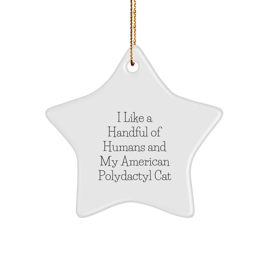 Funny American Polydactyl Cat Star Ornament Gifts from Friends to Family for Christmas - Image 1