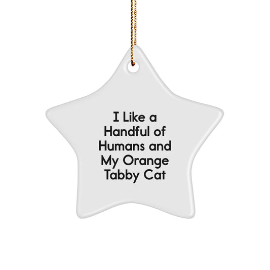 Funny Orange Tabby Cat Christmas Star Ornament Gifts from Men, Women, Friends, or Family for Their Lovable Orange Tabby Cat - Image 1