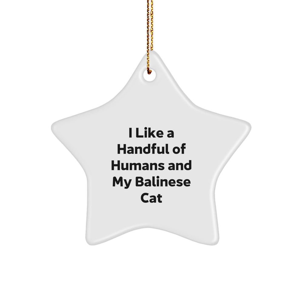 Funny Balinese Cat Star Ornament Gifts from Men for Women Friends Family - I 'Like A Handful Of Humans And My Balinese Cat' Christmas Unique Gifts - Image 1