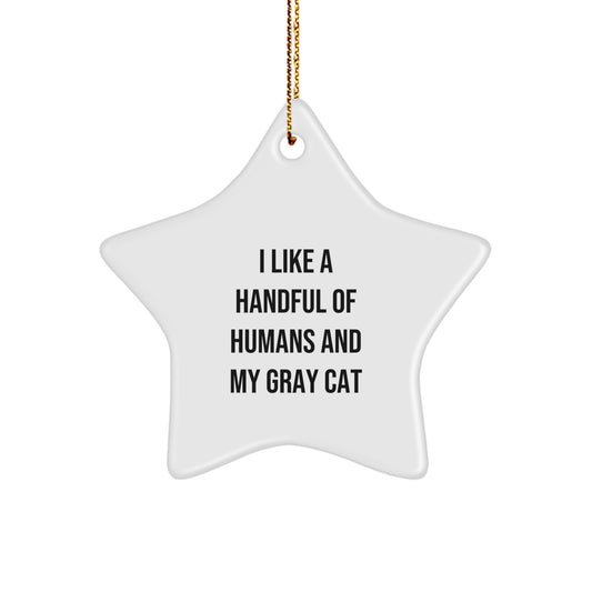 Funny Gray Cat Gifts for Christmas - Star Ornament from Family - I 'Like A Handful Of Humans And My Gray Cat' - Unique Star Decoration - Image 1