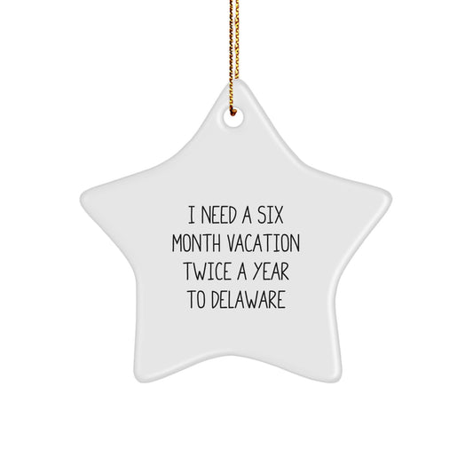 Gifts from Delaware Lovers for Delaware Star Ornament - Funny Quote Delaware Gifts for Men Women Friends Family - Image 1