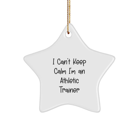 Funny Athletic Trainer Gifts for Men, Women, Friends - I Can't Keep Calm I'm An Athletic Trainer Star Ornament for Christmas Unique Gifts from Family - Image 1