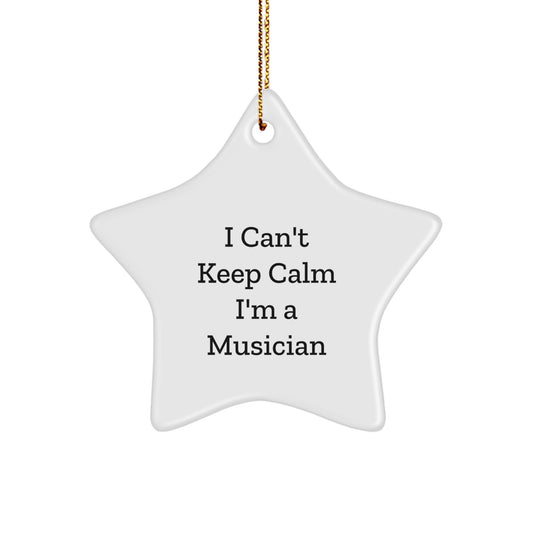 Funny Musician Star Ornament Gifts from Friends for Musician Men - I Can't Keep Calm I'm A Musician Star Decorations for Christmas Unique Gifts - Image 1