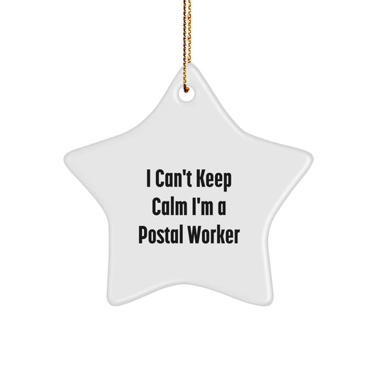 Funny Postal Worker Gifts for Men, I Can't Keep Calm I'm A Postal Worker Christmas Unique Star Ornaments for Friends, Coworkers, Family, Gifts from Men, Women, Family, Coworkers, Friends - Image 1