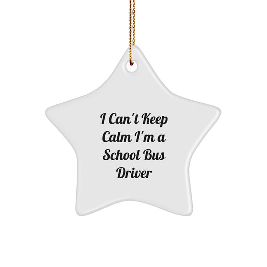 Funny School Bus Driver Christmas Unique Gifts from Friends, Star Ornament for School Bus Driver Men, Unique I Can't Keep Calm I'm A School Bus Driver Decorations - Image 1