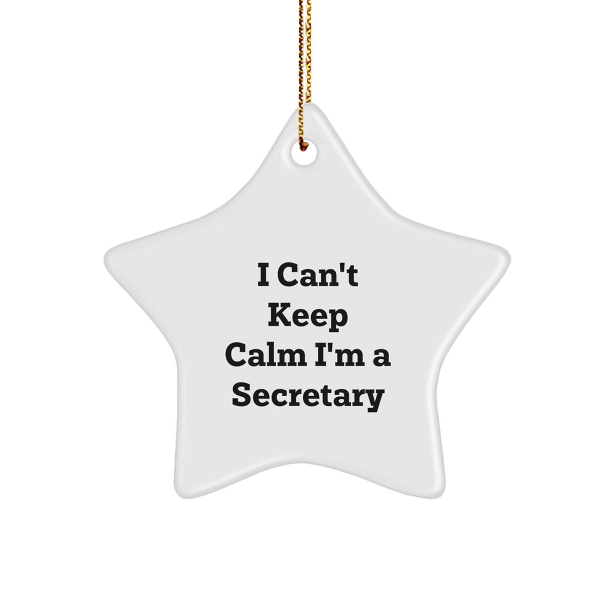 Funny Secretary Gifts for Christmas - Secretary Star Ornament with I Can't Keep Calm I'm A Secretary Quote, Gifts from Friends for Women Secretary - Image 1