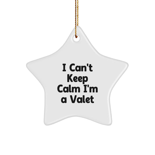 Funny Valet Star Ornament Gifts from Friends and Family for the I Can't Keep Calm I'm A Valet Valet Lover - Image 1