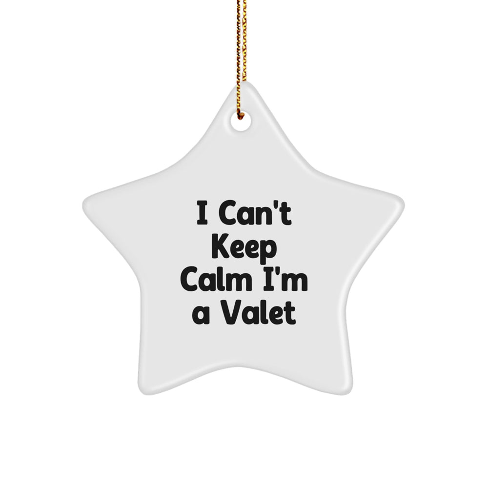Funny Valet Star Ornament Gifts from Friends and Family for the I Can't Keep Calm I'm A Valet Valet Lover - Image 1
