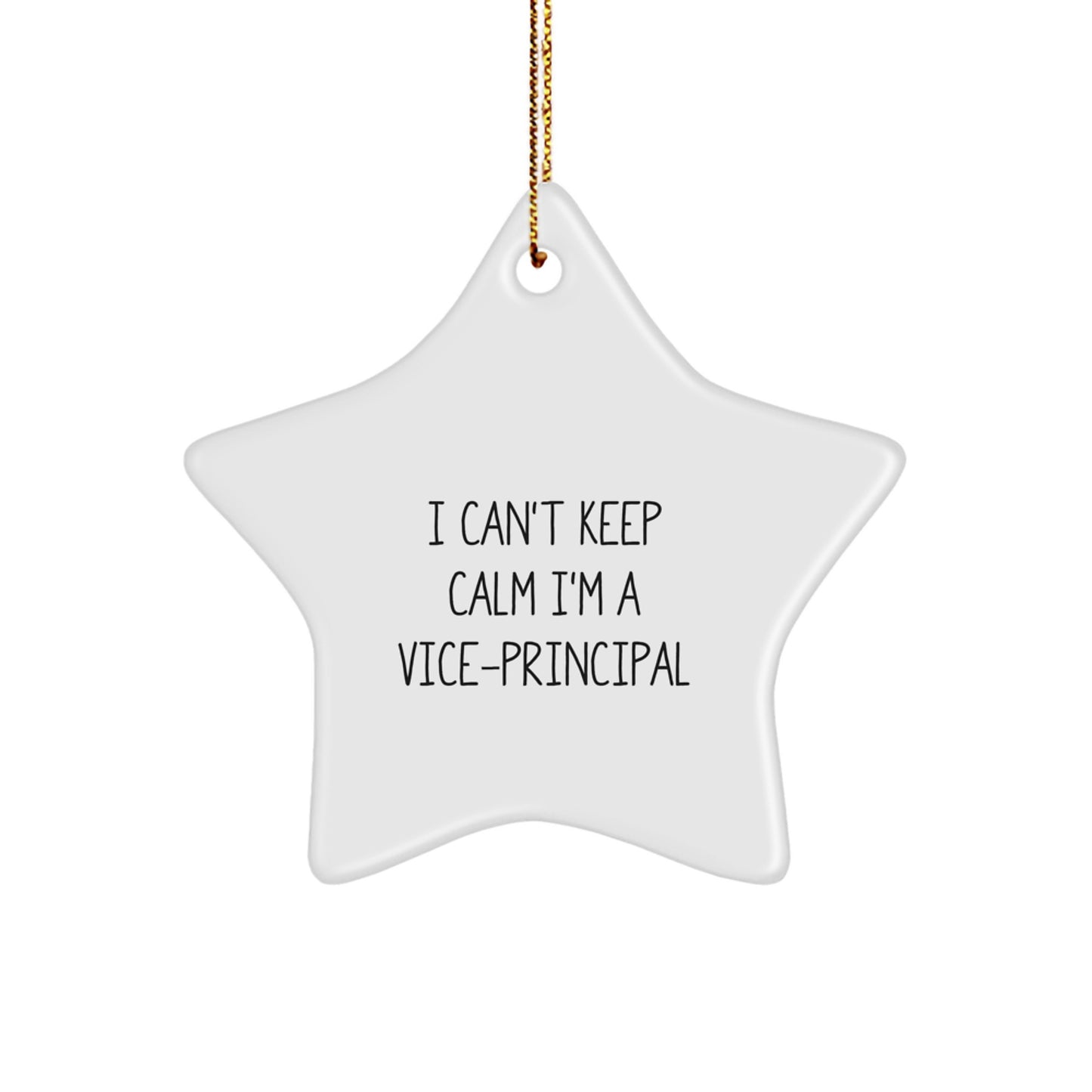 Funny Vice-principal Star Ornament, Gifts for Vice-principal from Friends, Men, Women, Christmas Unique Gifts, I Can't Keep Calm I'm A Vice-principal Star Decoration - Image 1