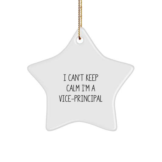 Funny Vice-principal Star Ornament, Gifts for Vice-principal from Friends, Men, Women, Christmas Unique Gifts, I Can't Keep Calm I'm A Vice-principal Star Decoration - Image 1