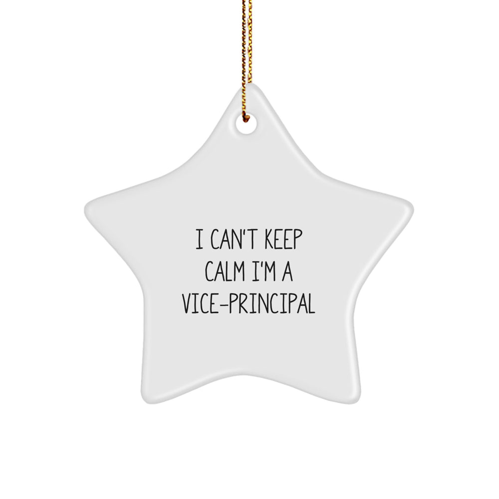 Funny Vice-principal Star Ornament, Gifts for Vice-principal from Friends, Men, Women, Christmas Unique Gifts, I Can't Keep Calm I'm A Vice-principal Star Decoration - Image 1